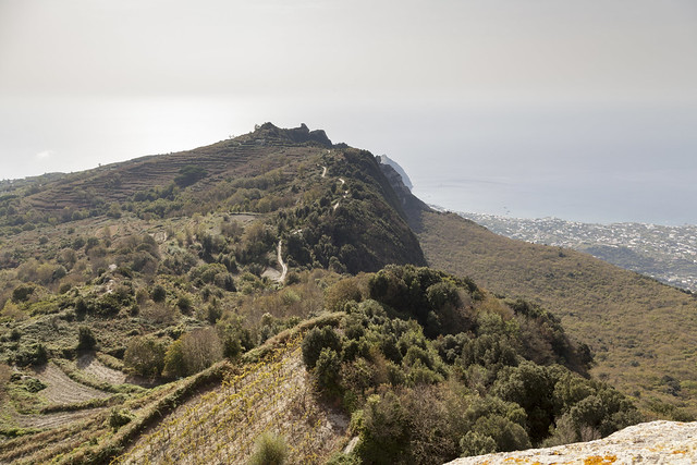 Looking south to Sant'angelo | Mount Epomeo | Monte Epomeo - 9