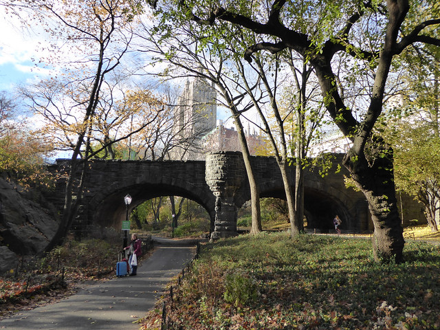 Central Park in Fall New York November 2016  (3) - Copy