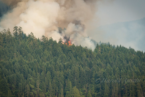 canada forest fire britishcolumbia smoke july vancouverisland flame forestfire portalberni sproatlake d800 dogmountain 2015