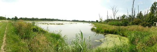 ohio birding marsh hotspot wetland wildlifearea sanduskycounty ebird