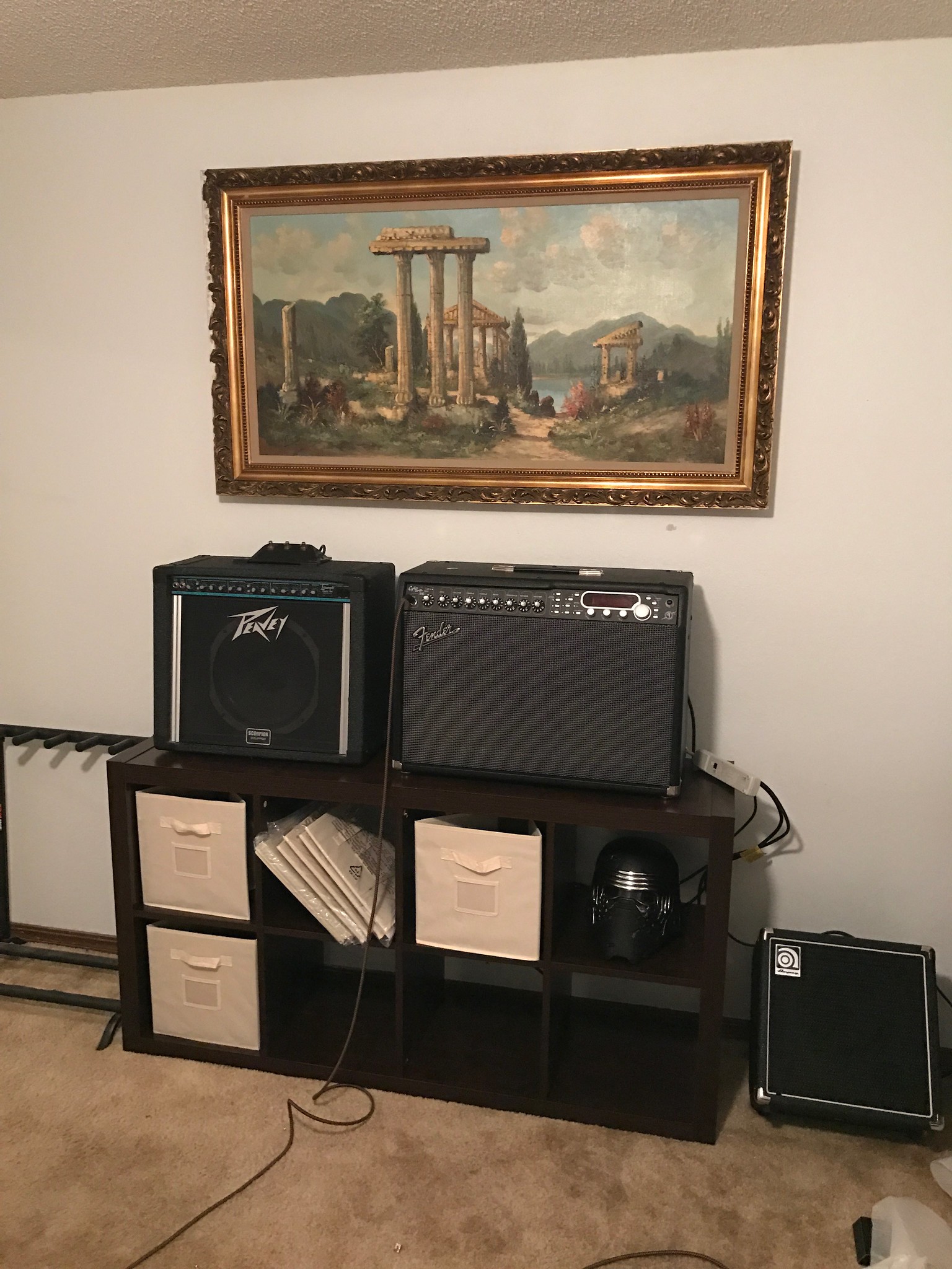 Filling the empty nest with guitar amps!