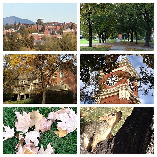 A couple photos we took this afternoon @wsupullman #wsu #gocougs