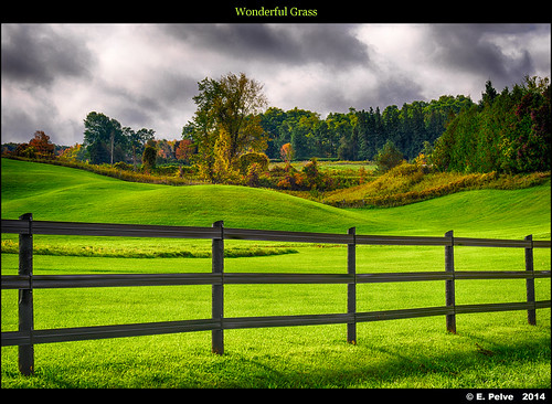 camera autumn ontario canada fall grass clouds forest hill lawn hdr caledon nikond800e october2014 voigtlandeapolanthar90mmf35slii
