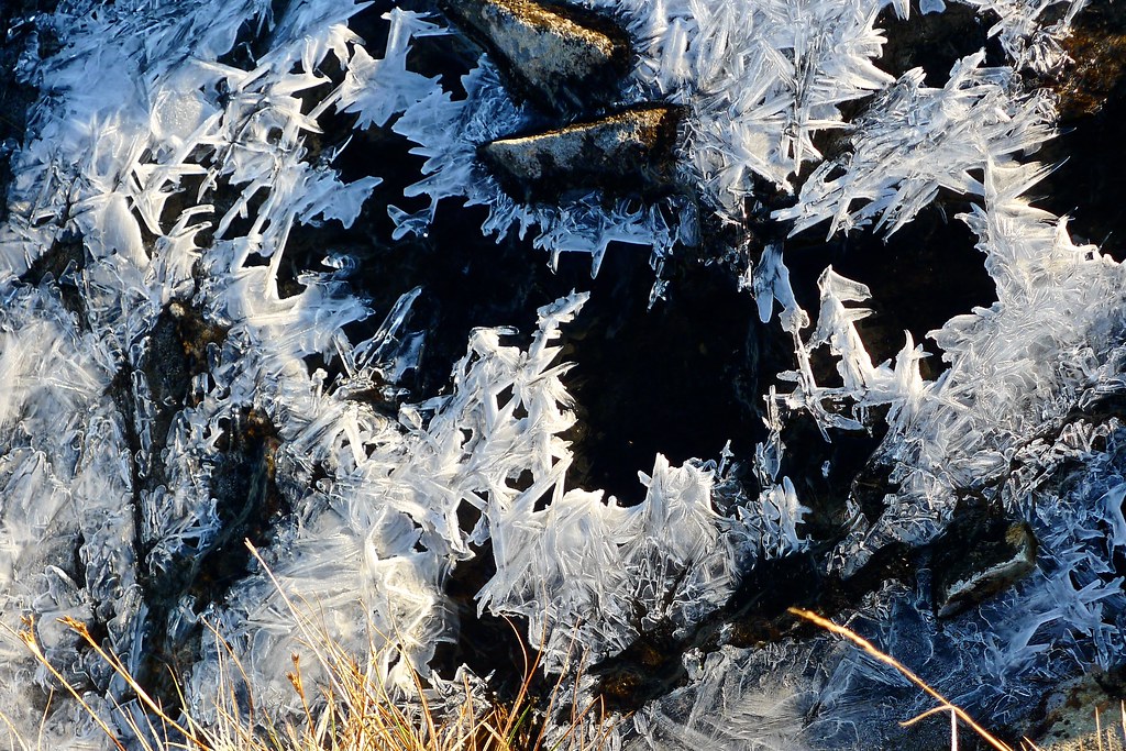 Crystals of ice