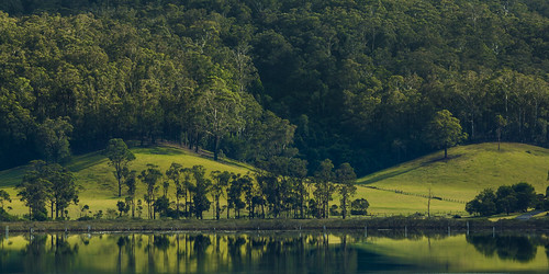 australia dawn farm greystump lagoon lake landscape newsouthwales reflection rural scape scenery sunrise trees wapengo water copyrightcolinpilliner nsw countryside toggreystump