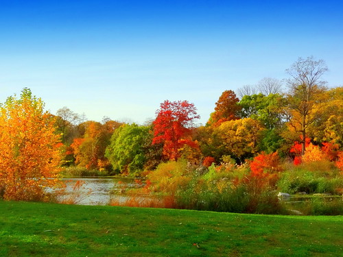 autumn newyork brooklyn image prospectpark dmitriyfomenko