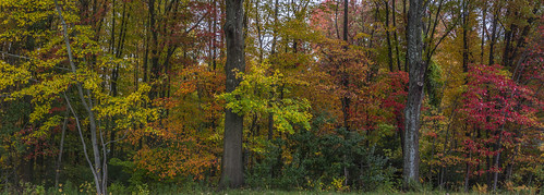 autumn connecticut enfield originalnef stitch tamron18270 johnjmurphyiii panorama foliage