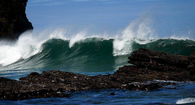 Rolling Ocean Wave.jpg