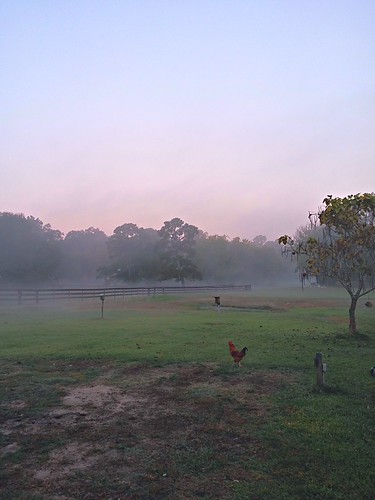 20141027_072651_HDR by thigpen.robert, 
