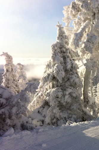 Killington VT Skiing | by Venera Varbanova