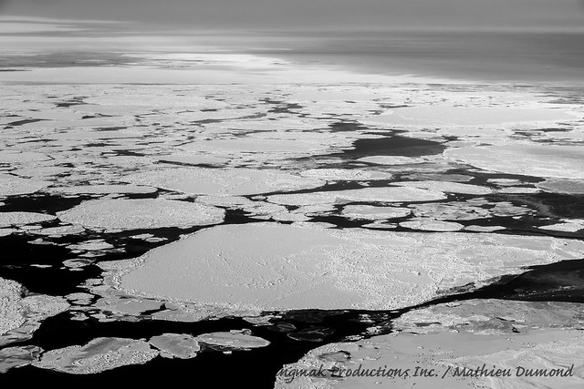 Forming sea-ice from the sky-7706
