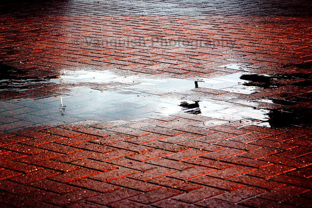 Puddles in the Paving
