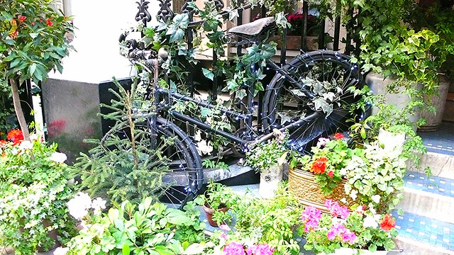 Brightened bicycle, bouquet bound.