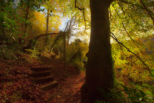 ironbridge rotunda lincolnhill autumn steps unescoworldheritagesite sabbathwalks richardreynolds