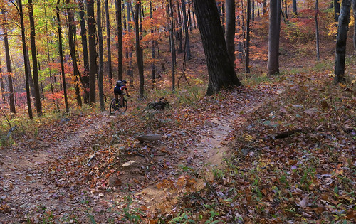 mountainbiking westernnorthcarolina autumn fall leaves canong7x 1inchsensor