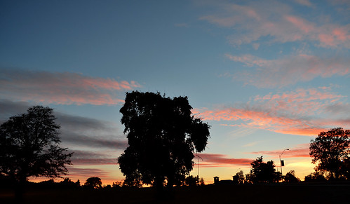 trees sunset sky clouds evening dusk kansascity missouri swopepark