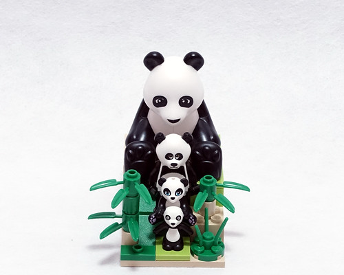 Panda | pandapanda | Bangoo H | Flickr