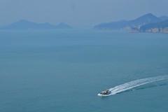 Camellia Island, Jangsado Sea Park, Tongyeong. #travel #mrbrowntravels #mrbrowninKorea