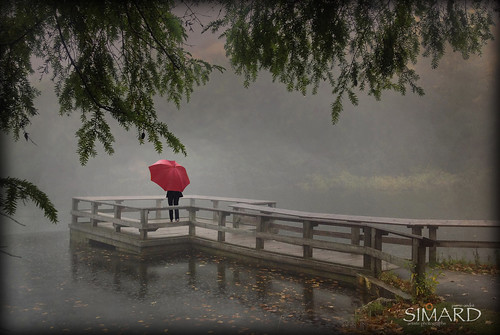 nature automne rouge femme lac québec fille brouillard parapluie observatoire pleinair plateforme parcdelagatineau simpa©