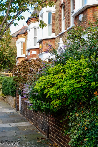 SW11 Rosenau Crescent | by C Tony