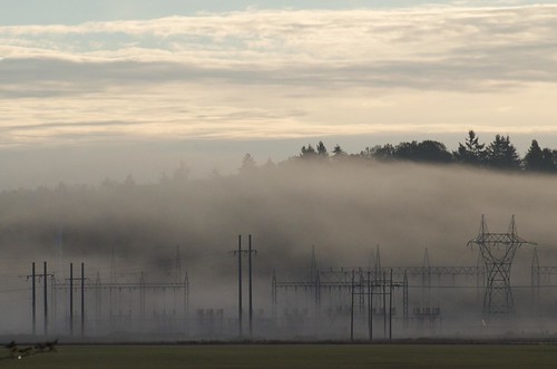 Fog and Grid | by In Memoriam: russell.tomlin