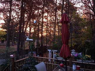 Sunrise in the back yard