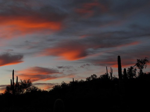 pink sunset arizona cactus sky southwest nature colors beauty skyline clouds skyscape outdoors visions evening solitude peace desert sundown dusk silhouettes az adventure saguaro exploration discovery sonorandesert skyshow saguarocactus maricopacounty glowage zoniedude1 hieroglyphicmountains earthnaturelife canonpowershotg12 embersinthesky