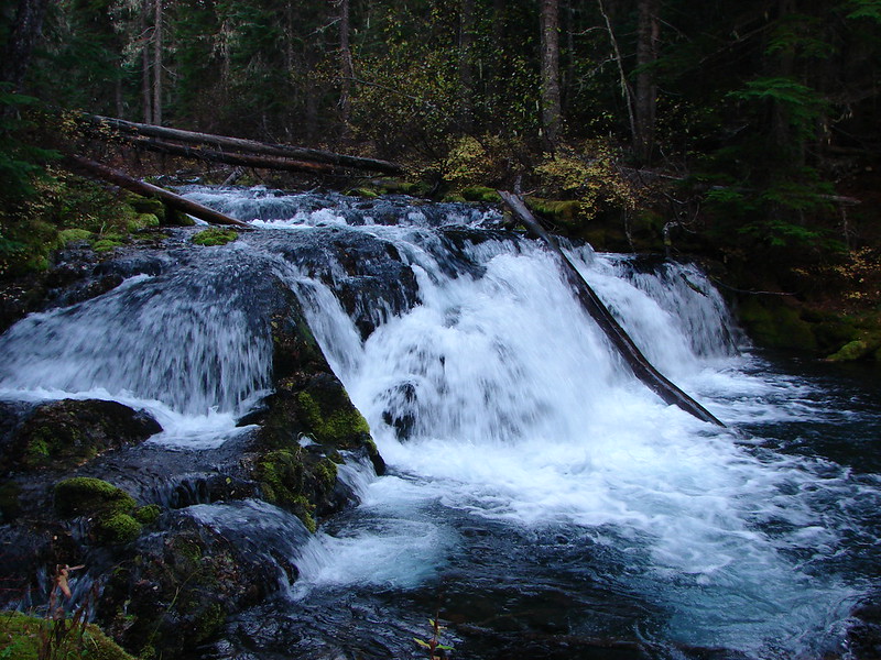 Small waterfall on Trapper Creek