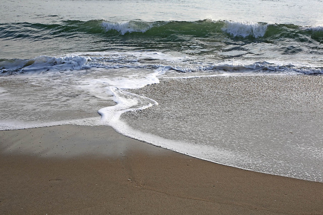 LB5D7238_Virginia Beach Waves