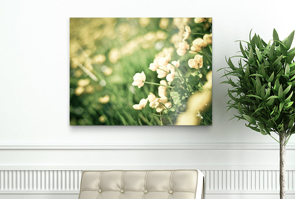 Flickr Wall Art products: Save 40% with coupon code 40ART14 (ends on Nov. 10, 2014)