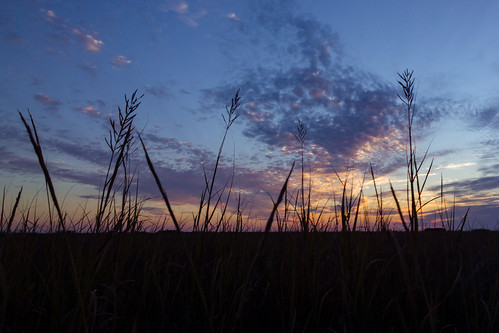 sunset grass nokia louisiana smartphone wetlands marsh lafourcheparish goldenmeadow ilobsterit lumia1020