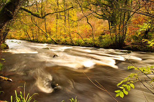 Rushing by! by Keith now in Wiltshire, River Teign in Dartmoor National Park rushing through woodlands with little leaf left as autumn come