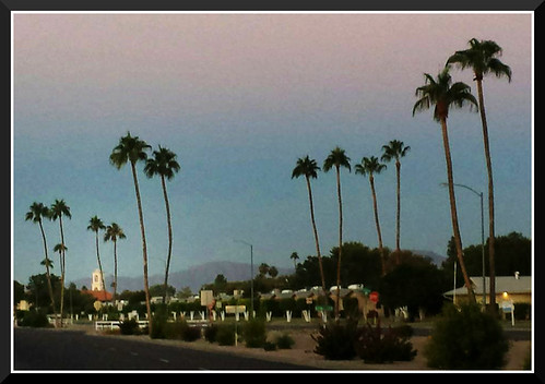 day7 photo foto safari early morning view sun city az