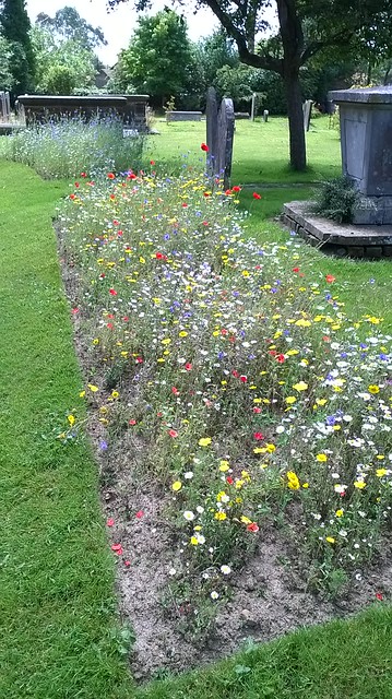 Churchyard West Hoathly Flowerbeds amongst the gravestones.