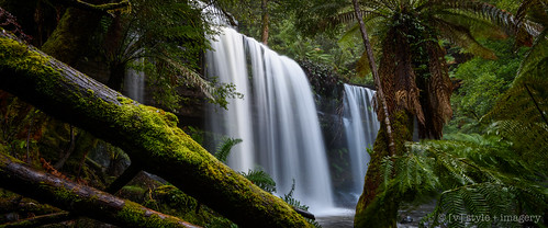 tasmania falls mtfieldnationalpark russellfalls waterfalls waterfall hobart wow