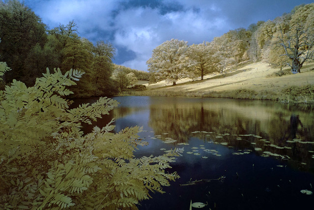 Stourhead Autumn colours in Infra Red
