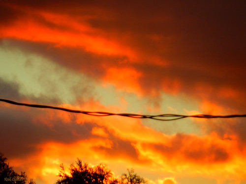 natureandawire rcvernors rickchilders wire sky eveningsky sunset huntingtonwv clouds orangesky