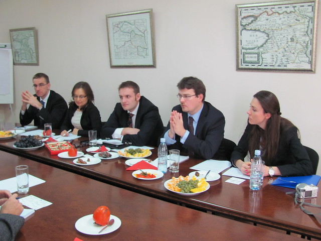Visit of Experts from Central Europe, Nov 26, 2012