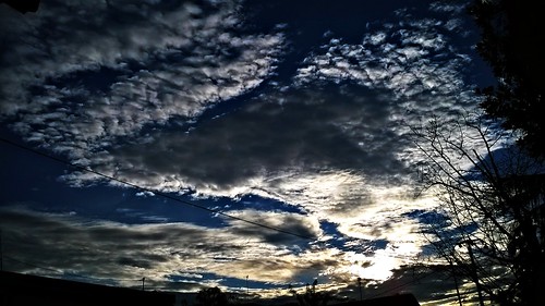 morning trees sky panorama cloud sun abstract black tower art nature weather clouds dark landscape dawn branch skies afternoon darkness gothic goth fantasy scifi doom horror awan epic apocalyptic outbreak pemandangan horizons postapocalyptic windowsphone lumia520