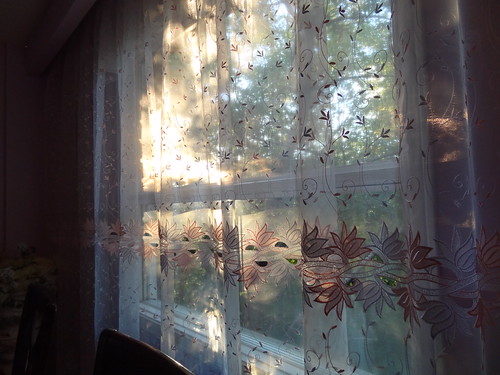 #ViewFromMyWindow | by ModernCityLife