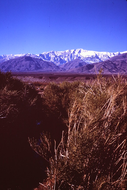 1970-12 Death Valley (213)