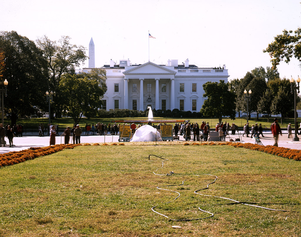 The House of White