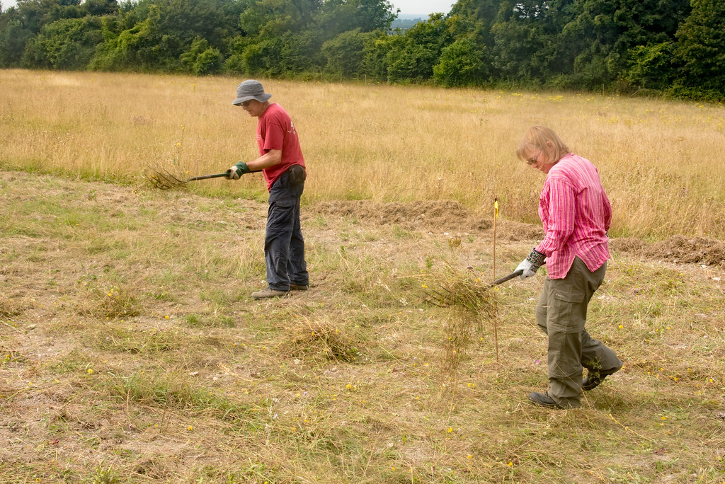 Green Hay Sowing | Sowing the hay on the cut strip | Gareth Christian ...