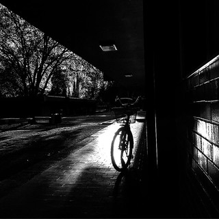 #Bicycle // #Bicicleta | Vladimir Guerrero | Flickr