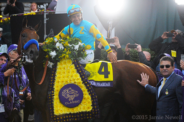 American Pharoah in the winner's circle after winning the Breeders' Cup Classic