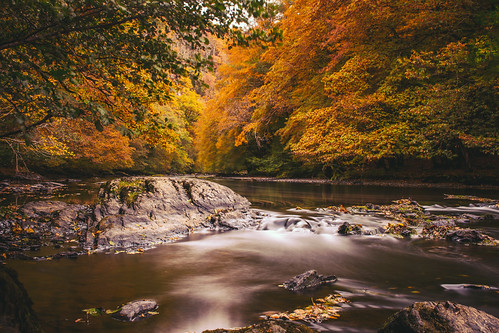 Fall | by Job Jansen
