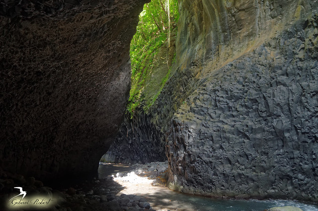 Les Gorges du Bras de la Plaine, île de la Réunion