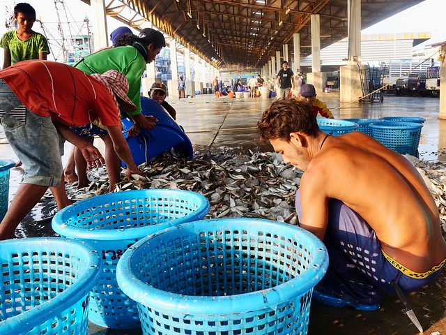 Sorting the catch, Mahachai fishing port, Thailand.