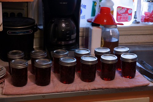 Homemade Jelly | by HaarFager