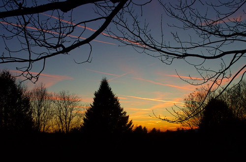 Happy Thanksgiving! by Distant Hill Gardens and Nature Trail, Most of the line-shaped clouds seen in this photo are jet concentration trails. Contrails are compos